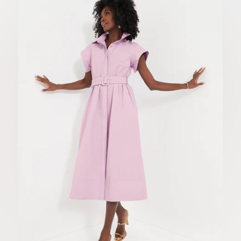 Tuckernuck Lilac Chloe Dress Size XXXL